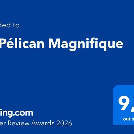 Le Pelican T2 Magnifique Ajaccio (Corsica)